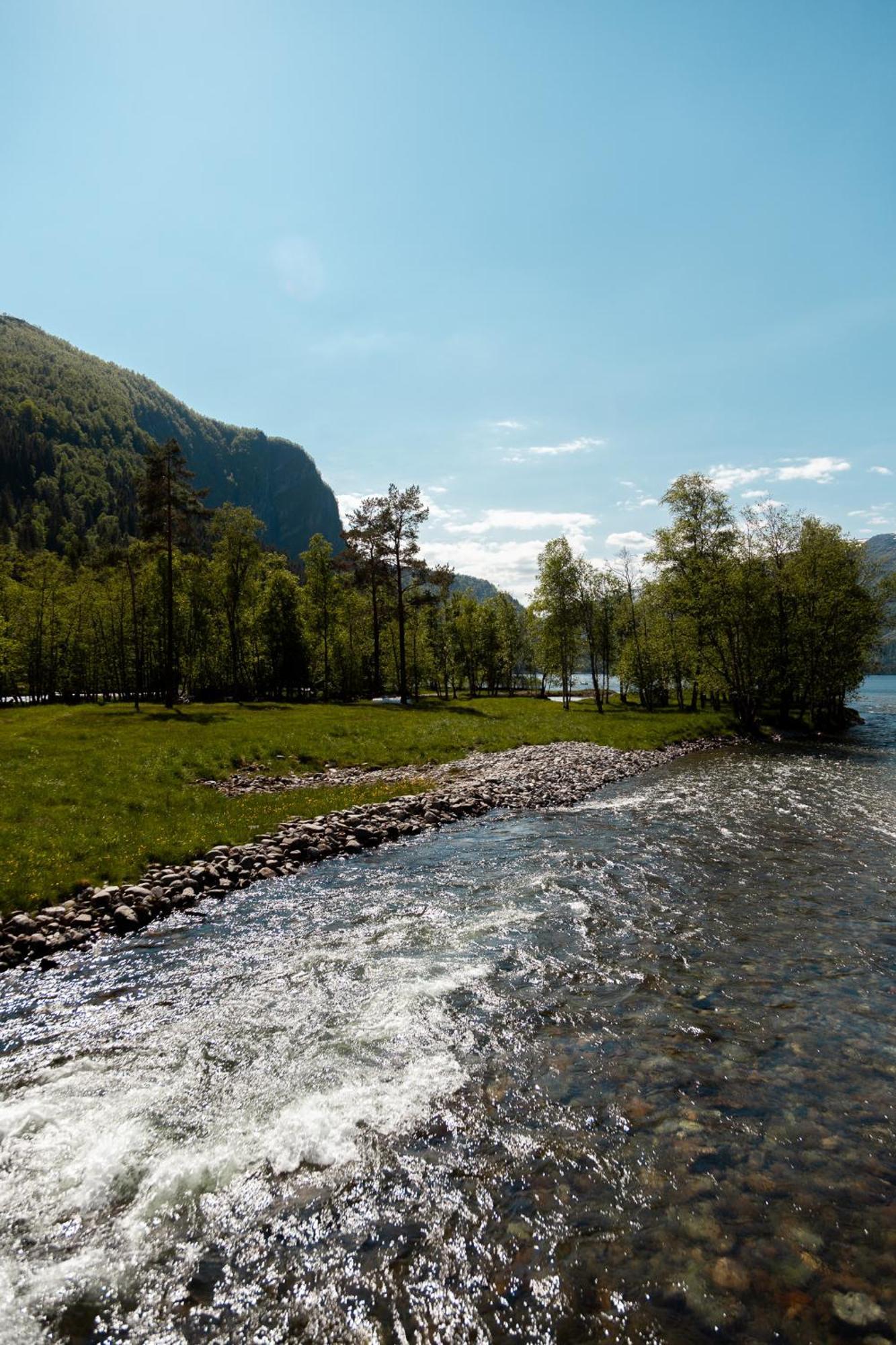 Hotel Tuftegarden Viksdalen Exterior foto