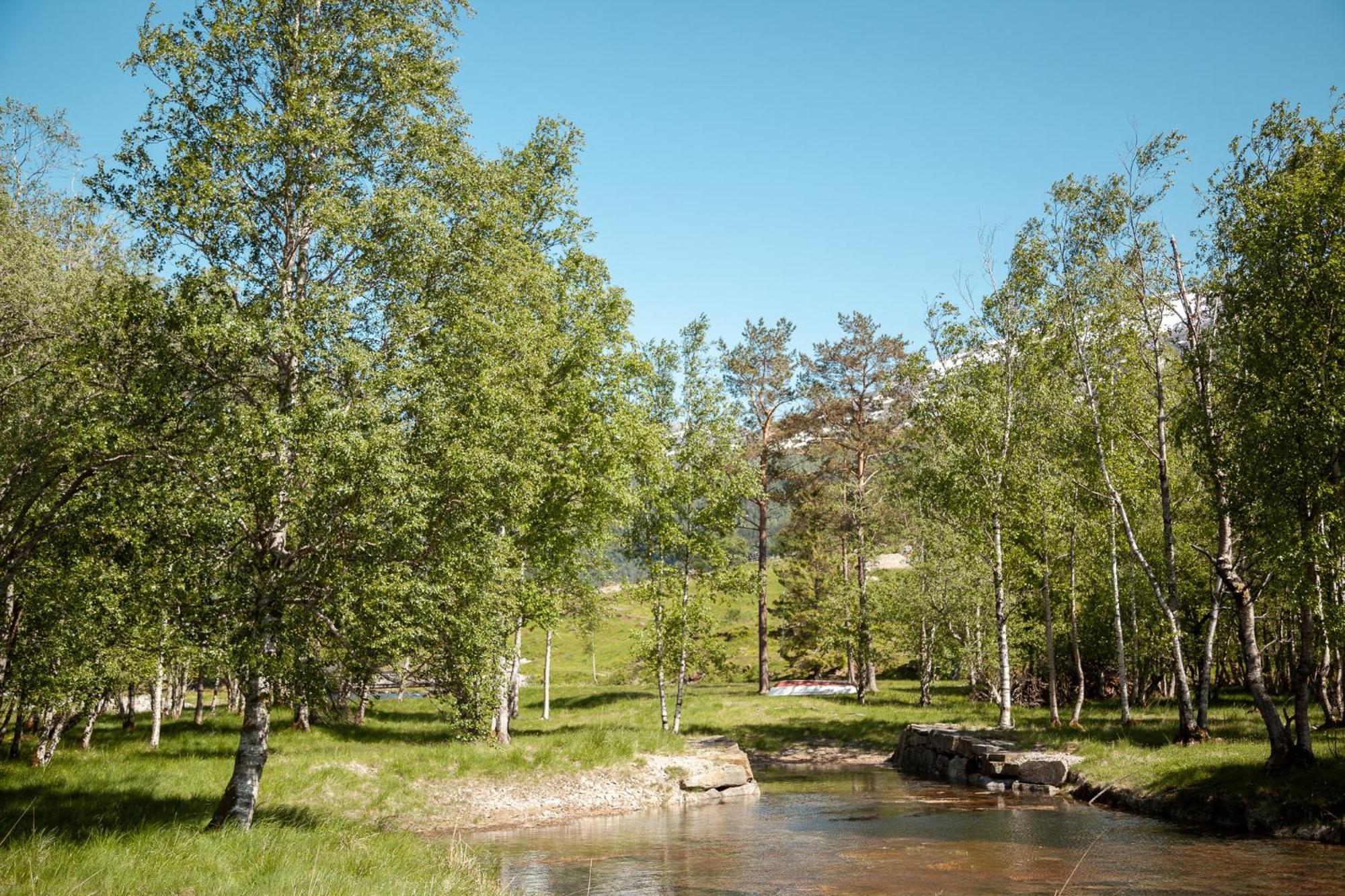Hotel Tuftegarden Viksdalen Exterior foto